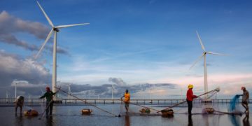 Photo by Tran Le Tuan: https://www.pexels.com/photo/photo-of-fishermen-working-near-wind-turbines-10031163/