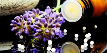 Photo by Pixabay: https://www.pexels.com/photo/green-purple-flower-163186/