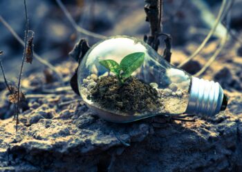 Photo by Singkham: https://www.pexels.com/photo/clear-light-bulb-planter-on-gray-rock-1108572/